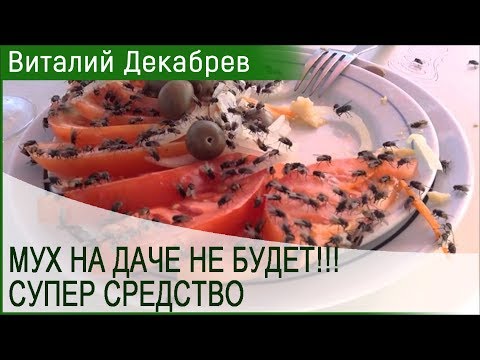 Видео: Спрейове (аерозоли) от мушици и комари: най -добрите, ефективни и безопасни спрейове за улицата и апартамента