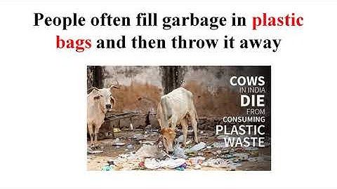 Garbage In, Garbage Out  | Lecture - 5 | Class - 6 | C.B.S.E Board