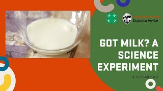 Got Milk A 4-H Science Experiment!