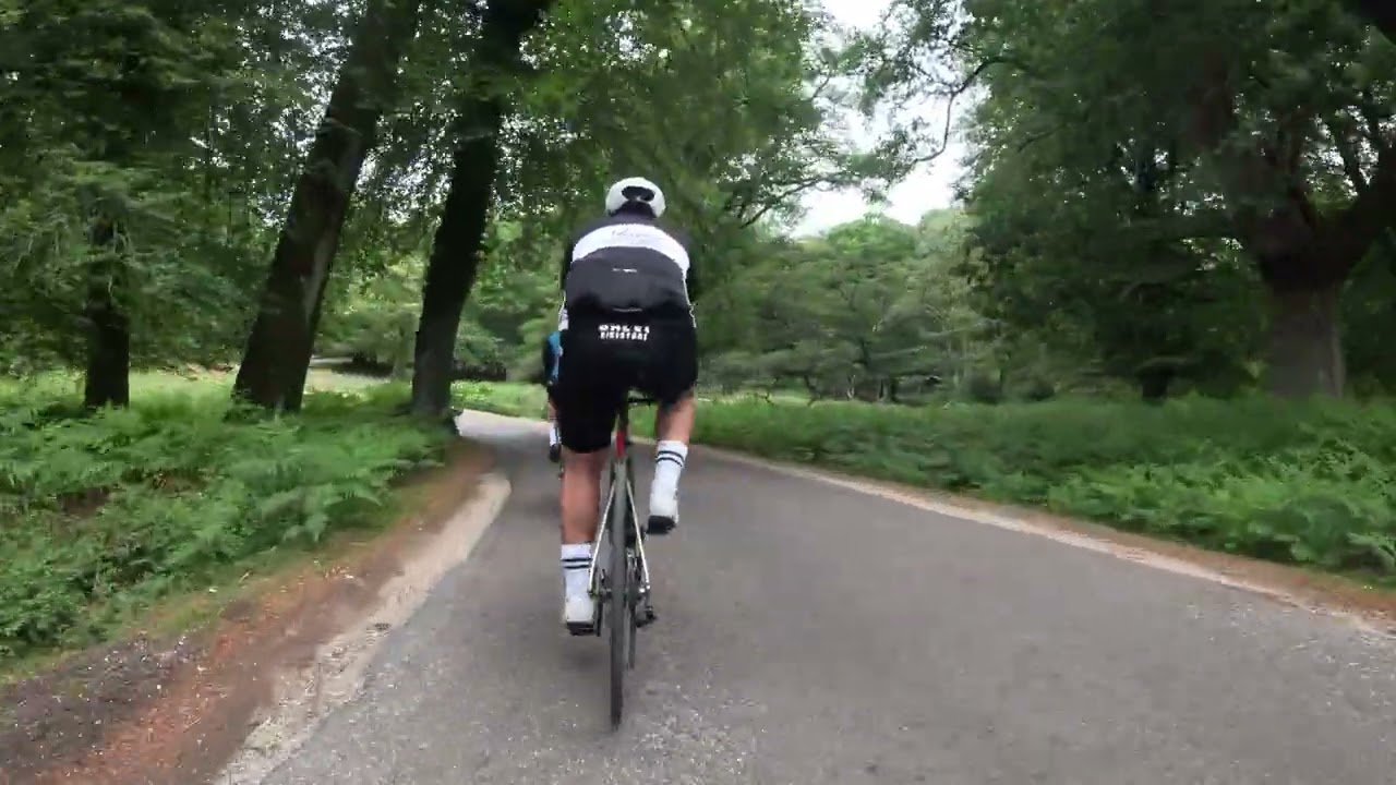 New forest ride 17/6/2025 part 2