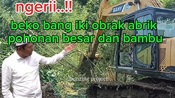 Ngerii..!! Pohonan besar bongkotan bambu di hancurkan beko bang iki