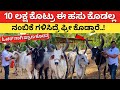 Kankrej  gyr cow farming in karnataka  desi cow dairy kannada  how to start gir farming  vardini