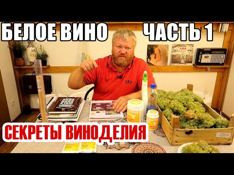 Белое ВИНО в домашних условиях - Часть 1 - Мускат Оттонель / КВАРТИРНОЕ ВИНО из Винограда /
