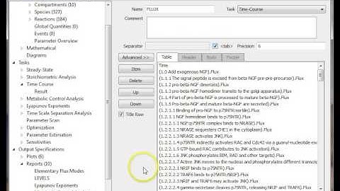 Create Reports COPASI