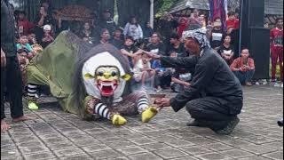 Macan macanan jaranan SUMBERREJO BUDOYO LIVE HEDON SERU