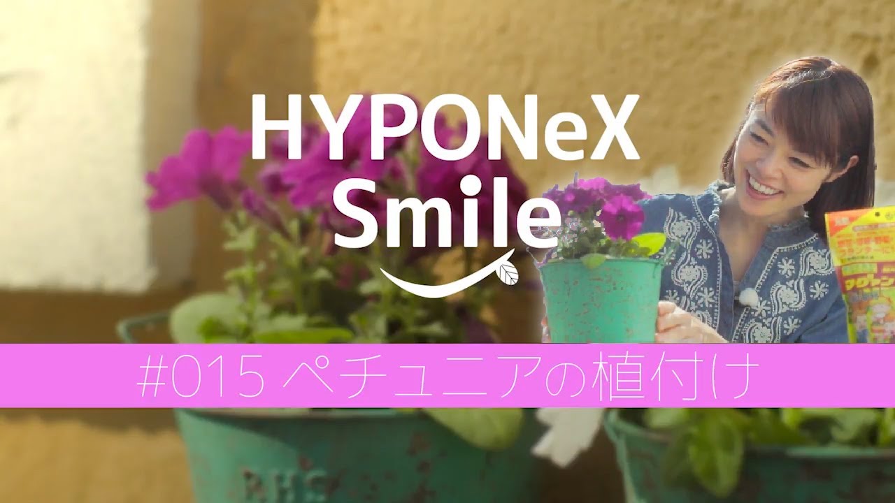 ペチュニアの育て方 可愛らしい花を咲かせてお庭を彩ろう 植物とあなたをつなぐplantia
