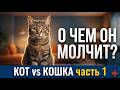 Скрытые опасности для котов: почему уход за самцом — это не так просто?
