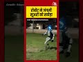 Viral Video: Poland में रोबोट ने जंगली सूअरों के झुंड को खदेड़ा #poland #robot #viral #aajtak