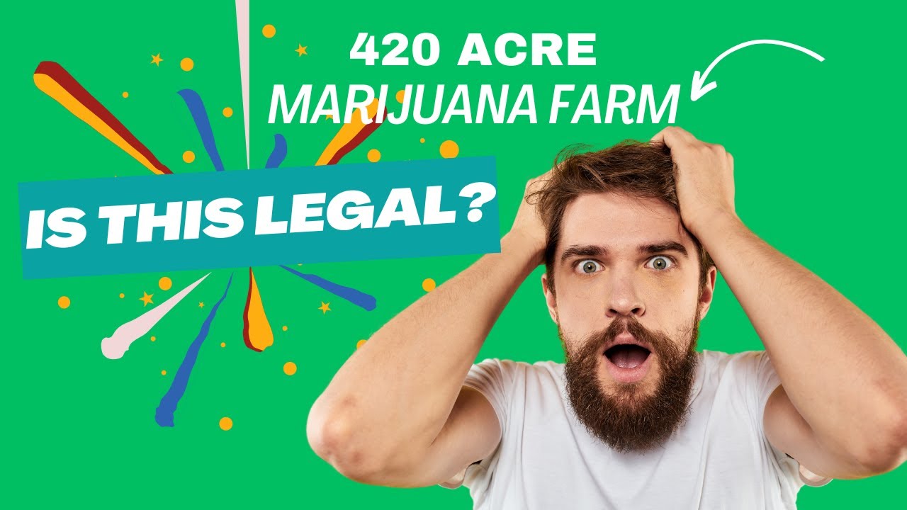 Area 420 Moffat Colorado - Learning to love a 420 acre Cannabis Farm - Kind Cannabis Kind Lifestyle