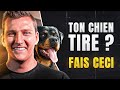 TUTO LA MARCHE AU PIED [DRESSAGE CHIEN] - Votre Chien Tire En Laisse ?