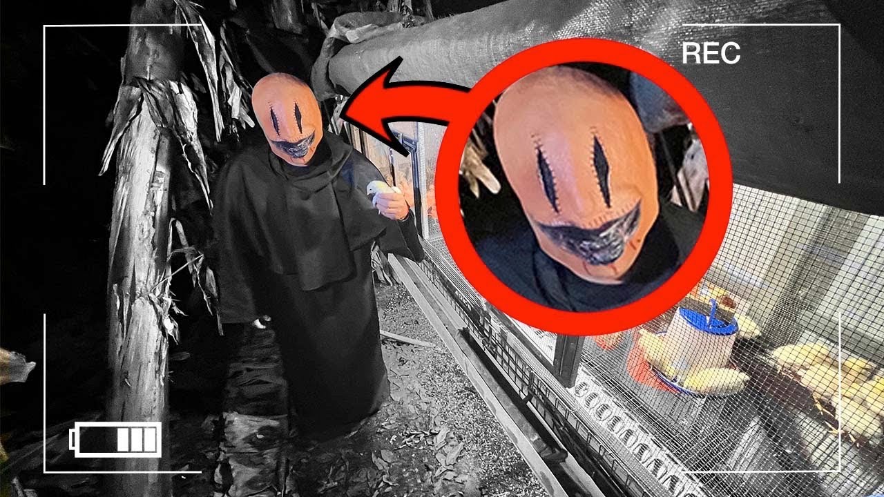 You Won’t Believe What We Caught On Camera !!! YouTube
