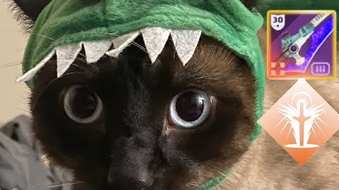 40 second 2-3 root skip (jumping puzzle)