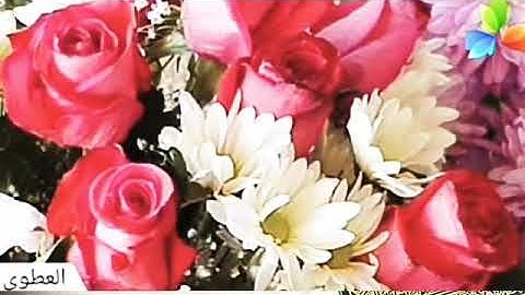 سورة المدثر،،، الشيخ صلاح بو خاطر