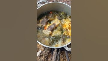 Cuối Tuần Về Quê Lội Ao Bắt Cá Kho Dưa Bếp Củi Đưa Cơm