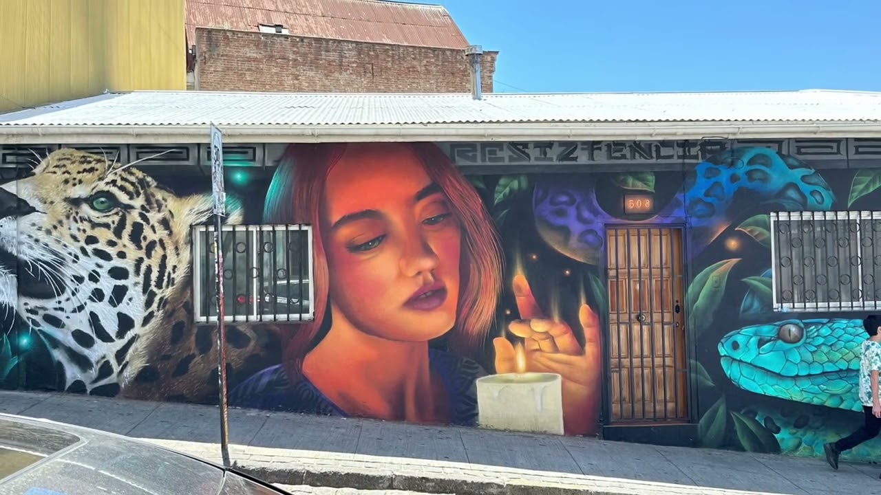 camera vs iphone test movie