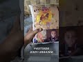 FASTSIDE Customized Cushion With Your Picture Text Name Logo Print in Cushion With Filling #FASTSIDE