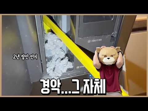 딴말 안 할게. 이 청소솔 꼭 사라!ㅣ내돈내산