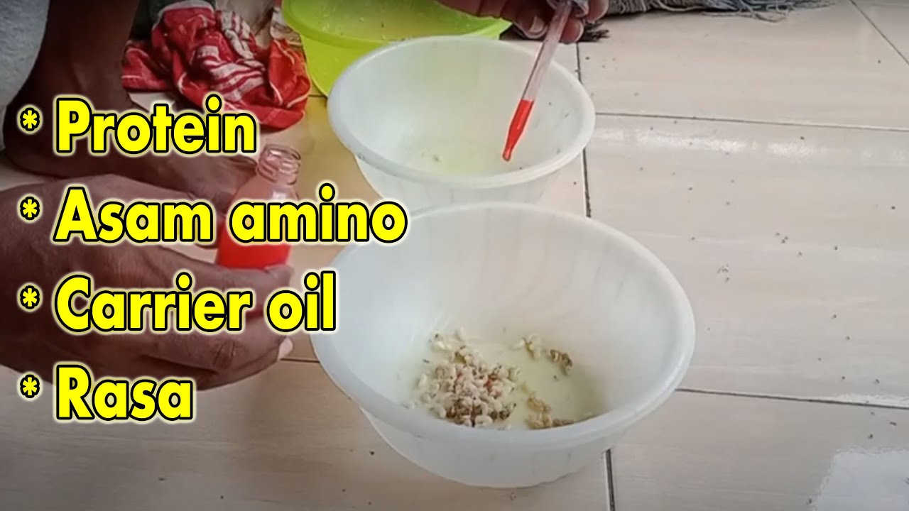 Analisa Oplosan Essen Ikan Mas Dan Dosis Takaran Penggunaan Berdasarkan Target Ikan Youtube<script async src=