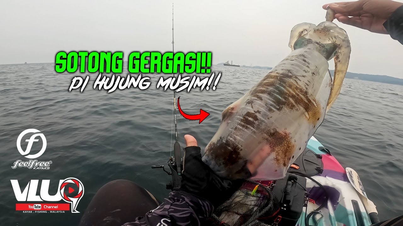Sotong GERGASI keluar di hujung MUSIM! - #VLUQ523 - Kayak Fishing Malaysia