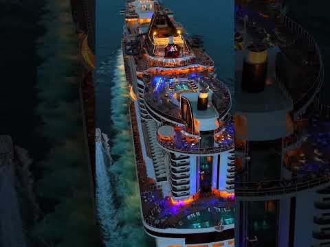 Video: MSC Cruises - Cruise Line -profiili