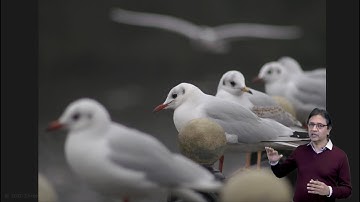 Overview | Depth from Defocus