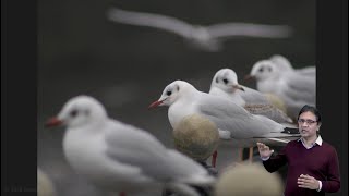 Overview | Depth from Defocus