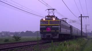 【警笛あり】8002レ 寝台特急トワイライトエクスプレス 大阪行き EF81 103牽引