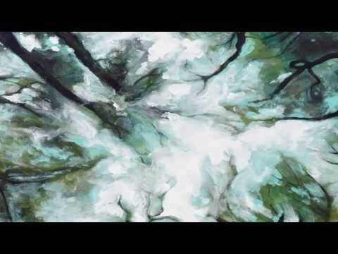 tv kanalları MAPUCHE WIRIN - La imágen. Eduardo Rapiman - pintor mapuche.