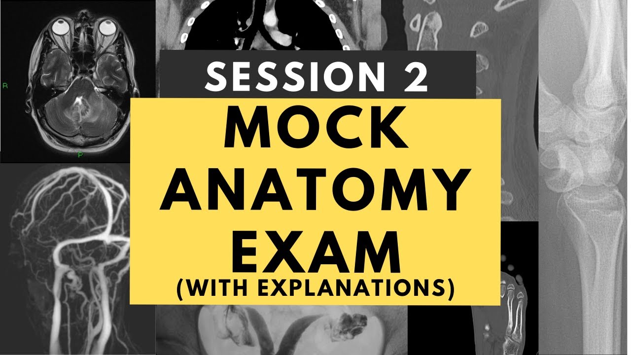 Radiology anatomy practice test Session 2 (with answers and