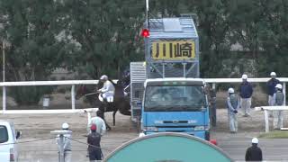 20181019川崎競馬2歳能力調教試験