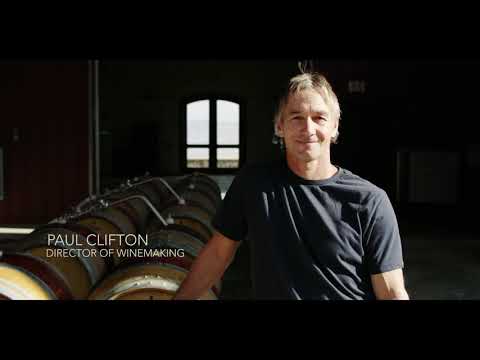 Video: THAUM WINES: RATIONAL, IRRATIONAL, EXISTENTIAL