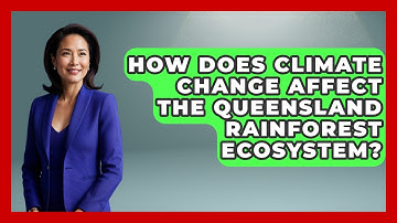 How Does Climate Change Affect The Queensland Rainforest Ecosystem? - The Geography Atlas