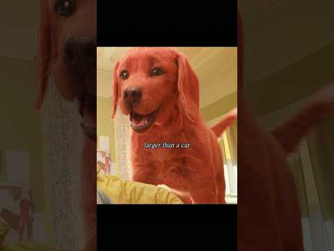 هل سبق لك أن رأيت كلب ا كبير ا مثل هذا مقاطع مضحكة فيديو فيديو مضحك 