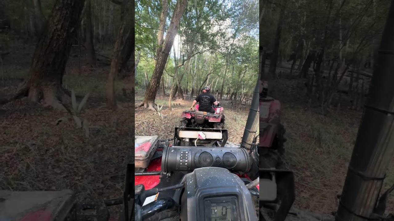 Mud,Mayhem, and Aaron doing what he loves best!