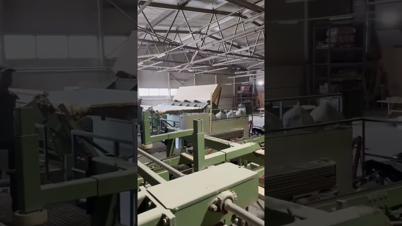 Stenner vertical band saw line with TM Systems mechanization