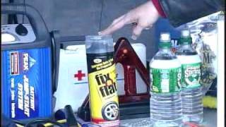 Lauren Fix - Roadside Kit