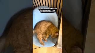 Have you ever wondered what goes into the making of our online video tutorials? 📹