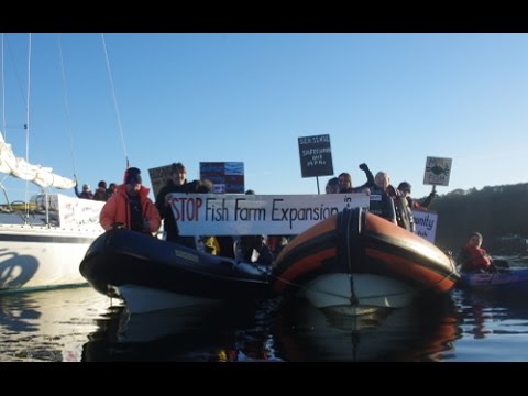 Arran says no to fish farm expansion. Unique community marine reserve at risk
