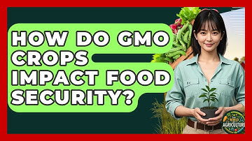 How Do GMO Crops Impact Food Security? - The World of Agriculture