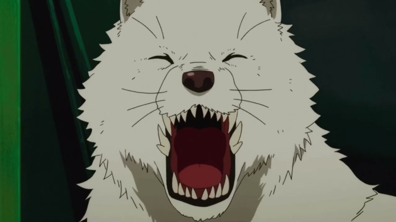 The Wolf - Siamés (sped up)