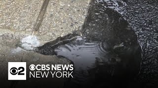Contractor mistakenly paves over Hoboken storm drains ahead of heavy rain