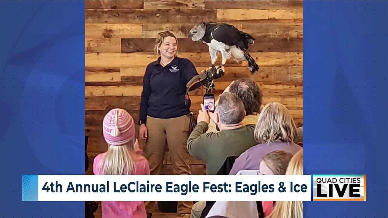 LeClaire Eagle Fest returns with eagle watching, ice carving and live raptor programs