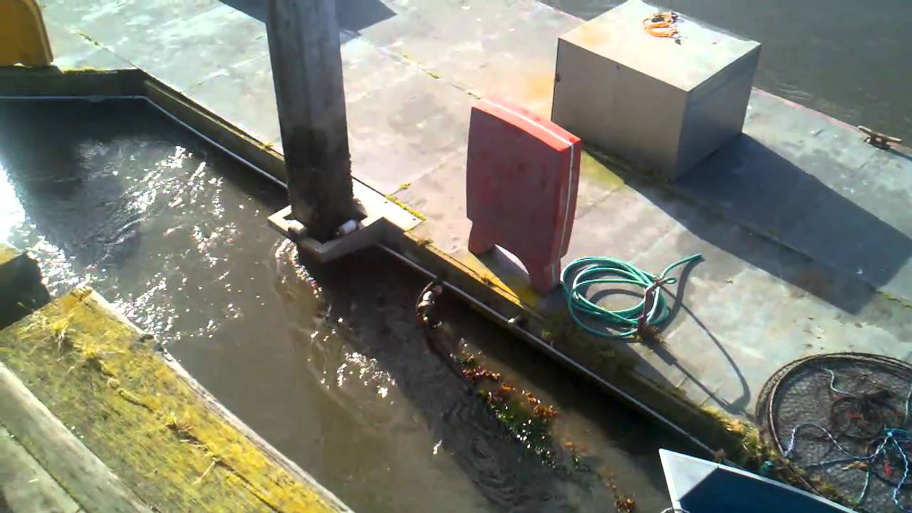 Tsunami surges, Pillar Point Harbor, Half Moon Bay YouTube