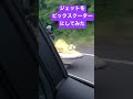 ビックスクーターのジェット　水陸両用車⁉️⁉️