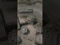 Сильнейший варденский пилот скаута против слабейшего колонистского пехотинца #foxhole