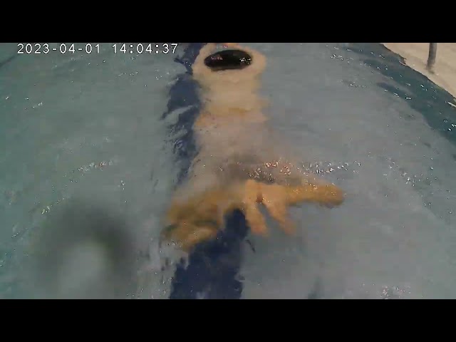 FONG PAK WING (joe sir) -  FONG PAK WING (joe sir) -