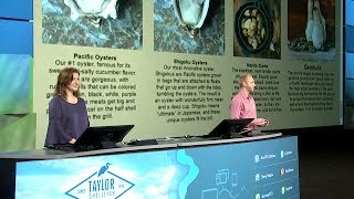 Esri UC 2017: Taylor Shellfish Farms screenshot 1