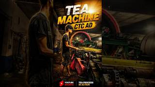 CTC Tea Machine Working in Factory ☕ #Shorts #machine