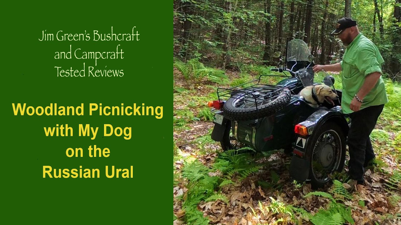 Woodland Picnicking with my Dog on the Russian URAL