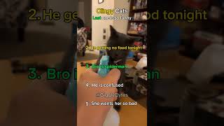 The Last One Was Unexpected🤣 #shorts  #cat